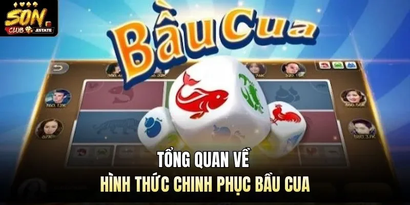 Tổng quan về hình thức chinh phục bầu cua
